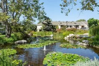 Photo #1: 230004446 Listing