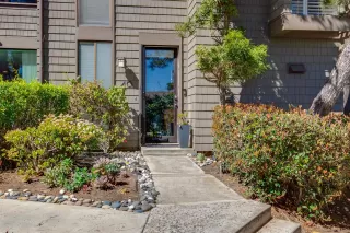 Photo #1: 230004456 Listing