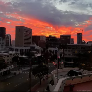 Photo #4: 230004529 Listing