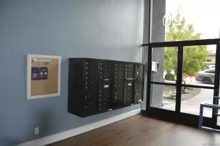 Photo #2: 230004566 Listing