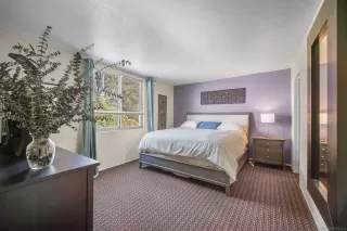 Photo #1: 230004596 Listing