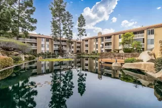 Photo #1: 230004937 Listing