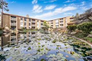 Photo #2: 230004937 Listing