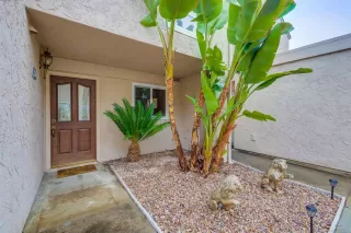 Photo #1: 230005009 Listing