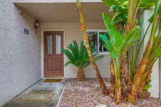 Photo #2: 230005009 Listing