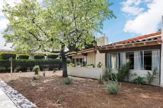 Photo #1: 230005129 Listing