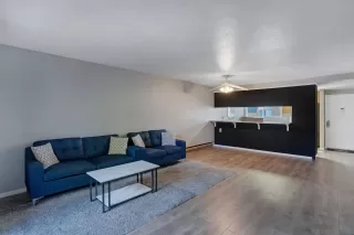 Photo #1: 230005199 Listing