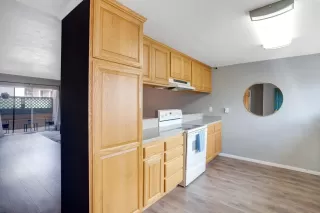 Photo #3: 230005199 Listing