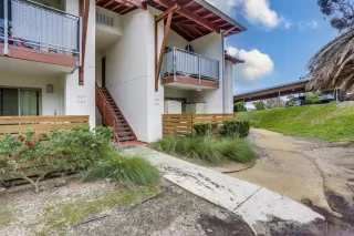 Photo #1: 230005243 Listing