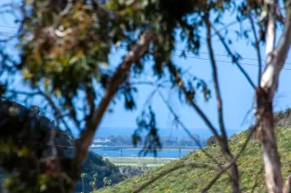 Photo #2: 230005580 Listing 