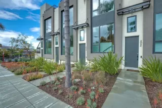 Photo #1: 230005653 Listing 