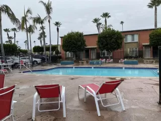 Photo #3: 230005770 Listing 