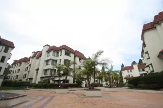 Photo #2: 230005809 Listing