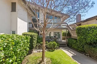 Photo #1: 230005855 Listing