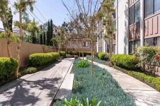 Photo #2: 230005873 Listing 