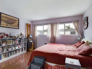 Photo #5: 230005997 Listing