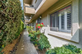 Photo #2: 230006028 Listing 