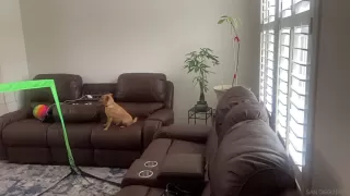 Photo #3: 230006088 Listing 