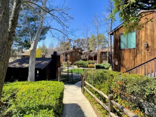 Photo #3: 230006128 Listing