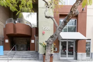 Photo #2: 230006175 Listing 