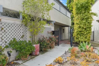 Photo #1: 230006250 Listing 