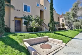 Photo #1: 230006515 Listing