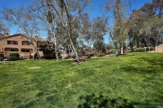 Photo #1: 230006742 Listing