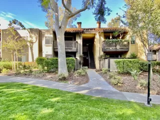 Photo #1: 230006773 Listing