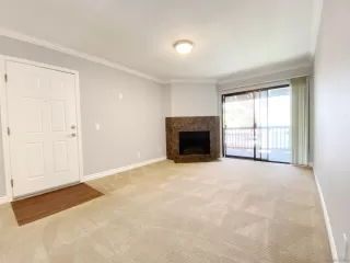 Photo #2: 230006773 Listing