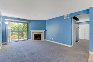 Photo #1: 230006876 Listing 