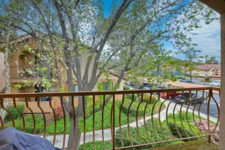 Photo #6: 230006888 Listing 