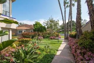 Photo #1: 230007060 Listing