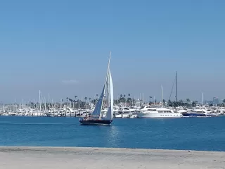 More Details about MLS # 230007124 : 2955 MCCALL ST UNIT 102