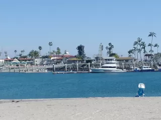 Photo #2: 230007124 Listing