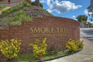 Photo #1: 230007273 Listing 