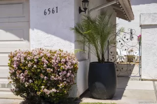 Photo #1: 230007449 Listing 