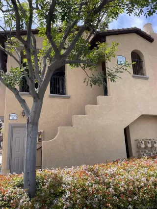 Photo #1: 230007504 Listing