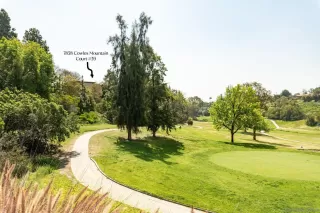 Photo #1: 230007521 Listing