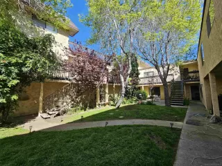 Photo #1: 230007544 Listing