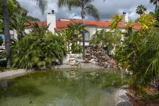 Photo #1: 230007595 Listing