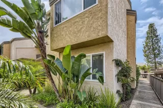 Photo #1: 230007828 Listing