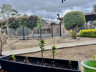 Photo #1: 230008406 Listing