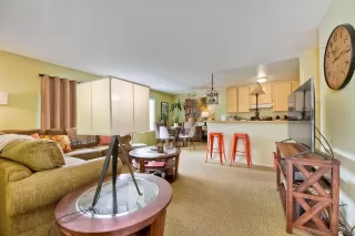 Photo #1: 230008413 Listing