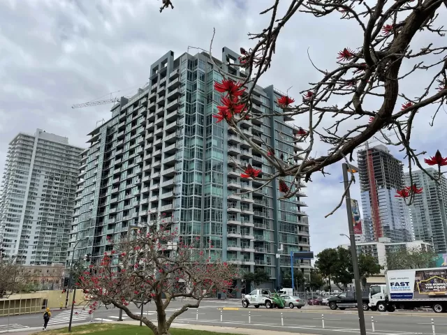 MLS: 230008419 Condo For Sale