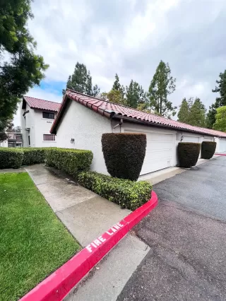 Photo #2: 230008497 Listing