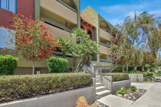 Photo #1: 230008584 Listing