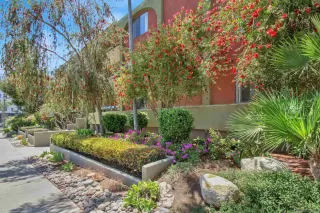 Photo #2: 230008584 Listing