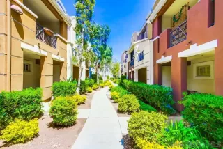 Photo #5: 230008680 Listing