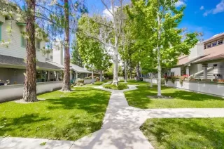 Photo #1: 230008732 Listing