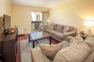 Photo #1: 230008923 Listing